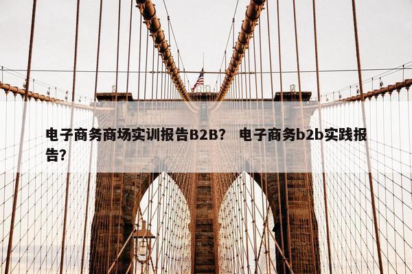 电子商务商场实训报告B2B？ 电子商务b2b实践报告？