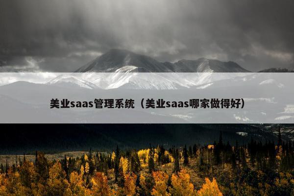 美业saas管理系统（美业saas哪家做得好）