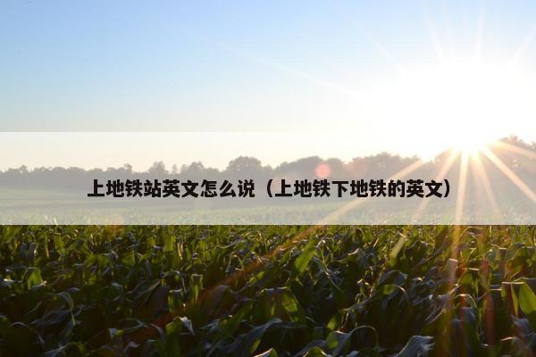 上地铁站英文怎么说（上地铁下地铁的英文）