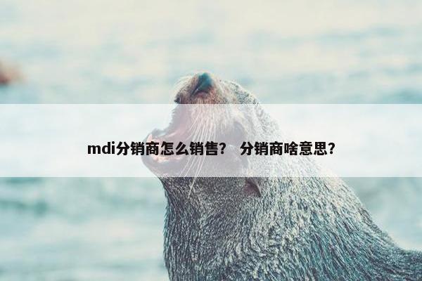 mdi分销商怎么销售？ 分销商啥意思？