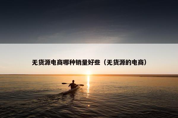 无货源电商哪种销量好些（无货源的电商）