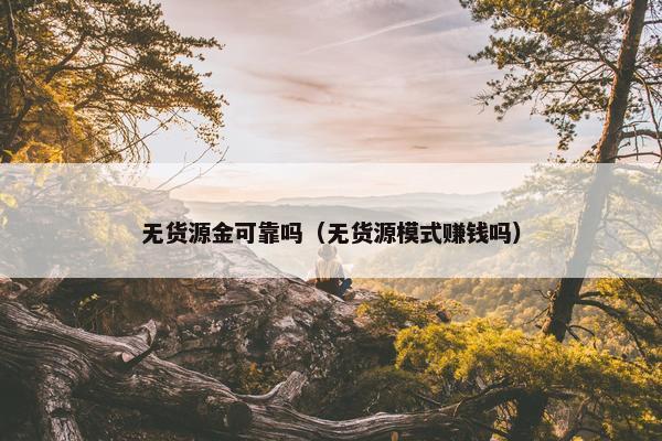 无货源金可靠吗（无货源模式赚钱吗）