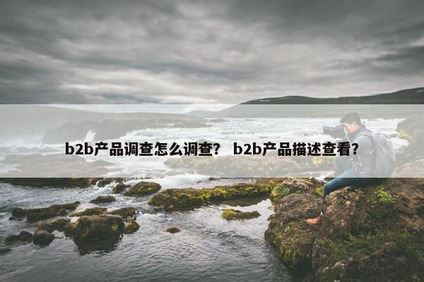 b2b产品调查怎么调查？ b2b产品描述查看？