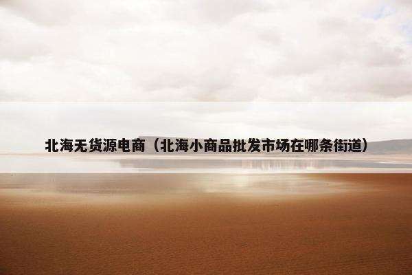 北海无货源电商（北海小商品批发市场在哪条街道）