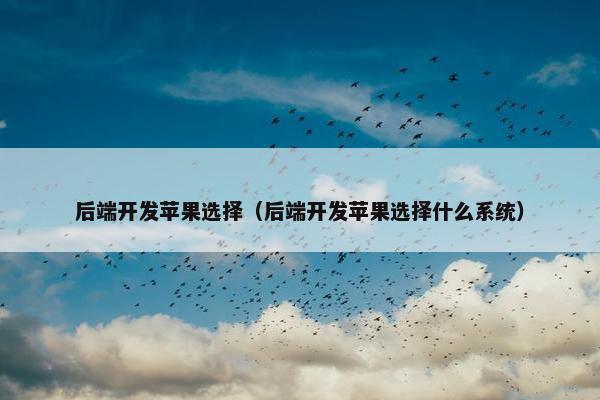 后端开发苹果选择（后端开发苹果选择什么系统）