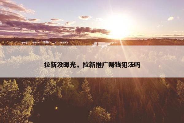 拉新没曝光，拉新推广赚钱犯法吗