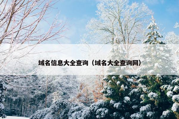 域名信息大全查询（域名大全查询网）
