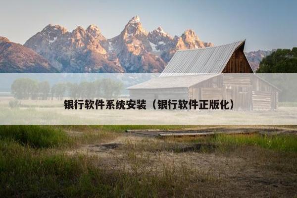 银行软件系统安装（银行软件正版化）