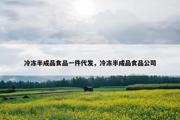 冷冻半成品食品一件代发，冷冻半成品食品公司