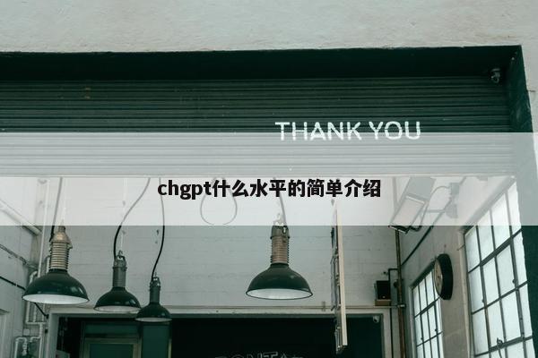 chgpt什么水平的简单介绍