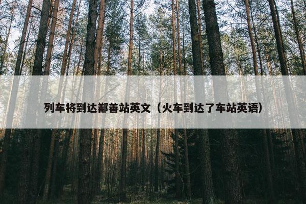 列车将到达鄯善站英文（火车到达了车站英语）