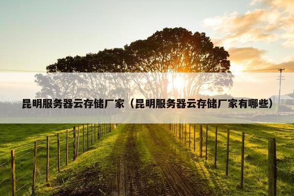 昆明服务器云存储厂家（昆明服务器云存储厂家有哪些）