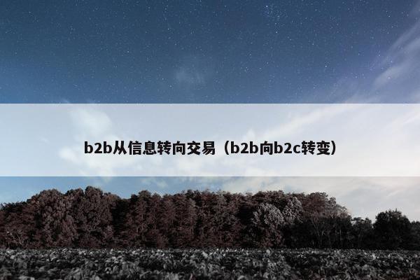 b2b从信息转向交易（b2b向b2c转变）