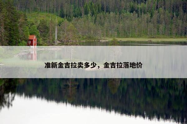 准新金吉拉卖多少，金吉拉落地价