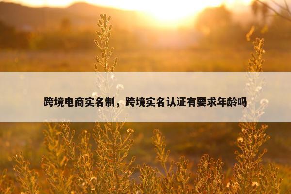 跨境电商实名制，跨境实名认证有要求年龄吗