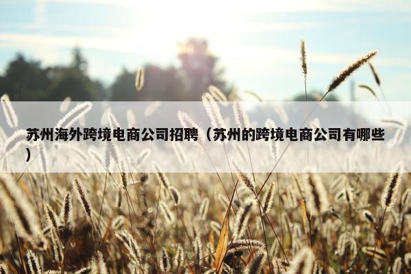 苏州海外跨境电商公司招聘（苏州的跨境电商公司有哪些）