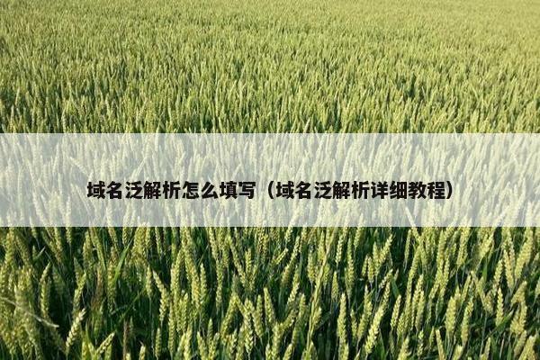 域名泛解析怎么填写（域名泛解析详细教程）