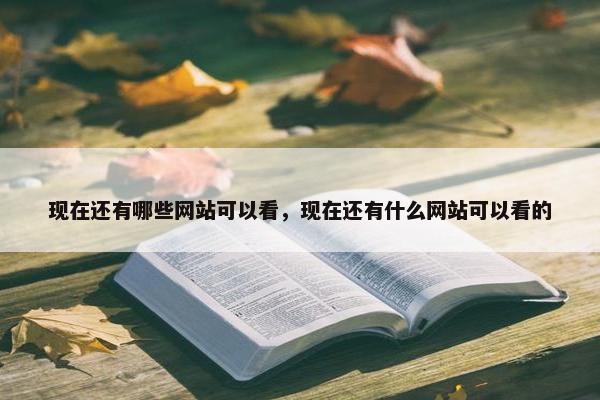 现在还有哪些网站可以看，现在还有什么网站可以看的