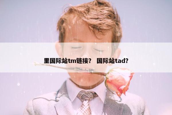 里国际站tm链接？ 国际站tad？