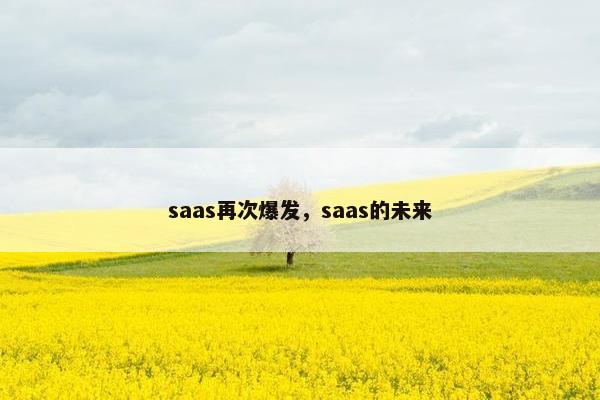 saas再次爆发，saas的未来