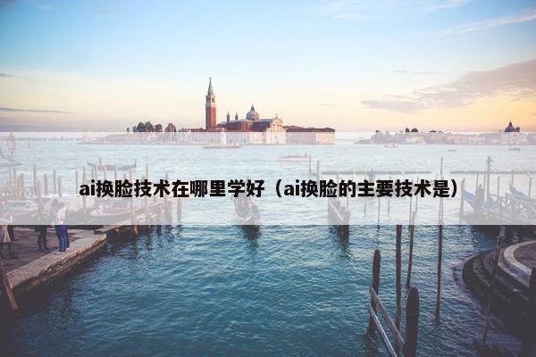 ai换脸技术在哪里学好（ai换脸的主要技术是）