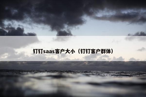 钉钉saas客户大小（钉钉客户群体）