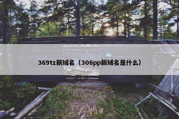 369tz新域名（306pp新域名是什么）