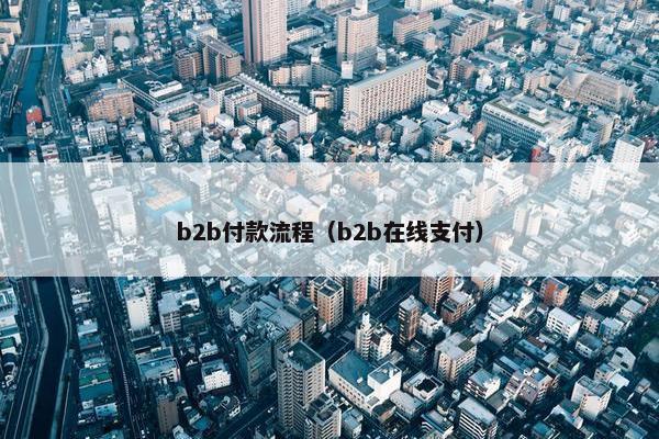 b2b付款流程（b2b在线支付）