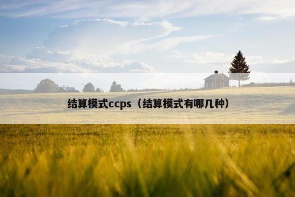 结算模式ccps（结算模式有哪几种）