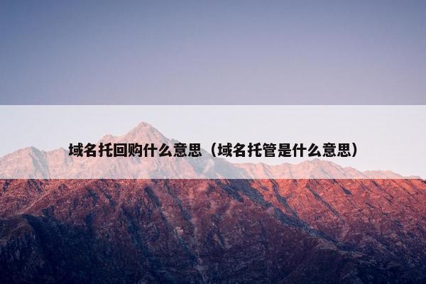 域名托回购什么意思（域名托管是什么意思）