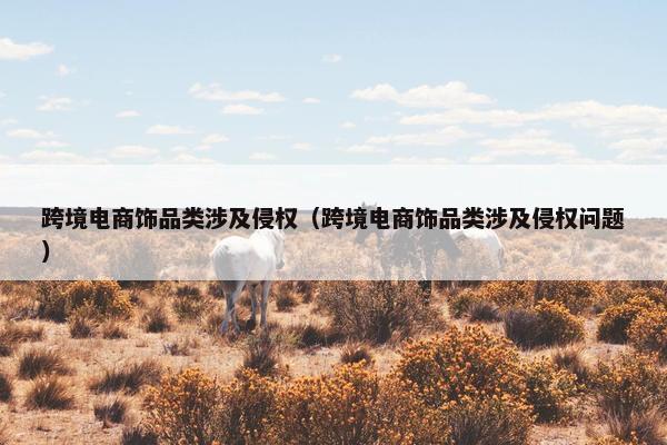 跨境电商饰品类涉及侵权（跨境电商饰品类涉及侵权问题）