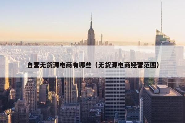 自营无货源电商有哪些（无货源电商经营范围）