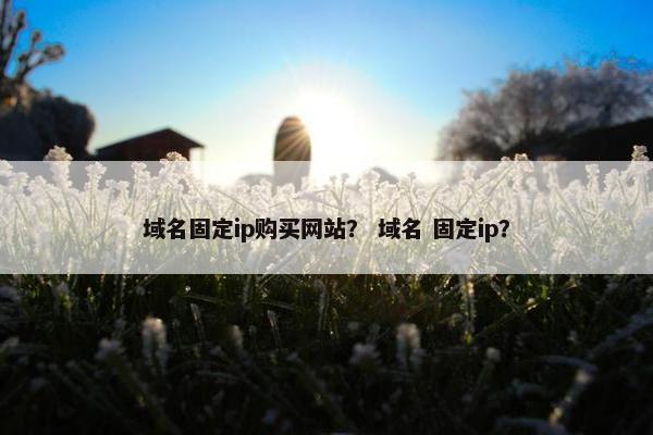 域名固定ip购买网站？ 域名 固定ip？