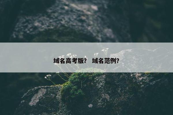 域名高考版？ 域名范例？