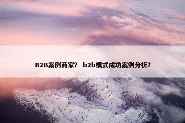B2B案例商家？ b2b模式成功案例分析？