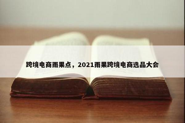 跨境电商雨果点，2021雨果跨境电商选品大会
