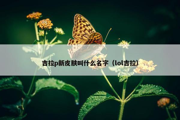吉拉p新皮肤叫什么名字（lol吉拉）