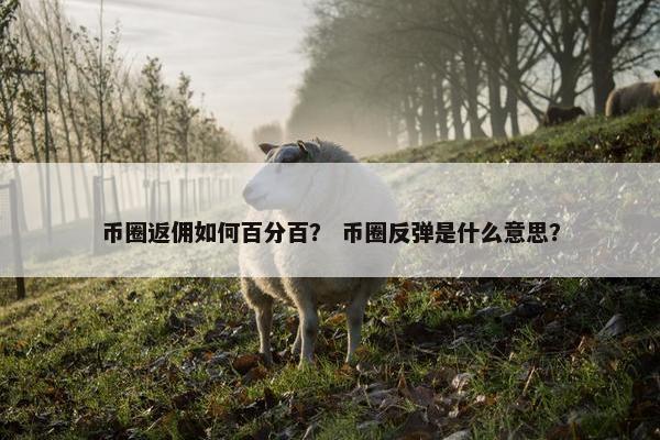 币圈返佣如何百分百？ 币圈反弹是什么意思？