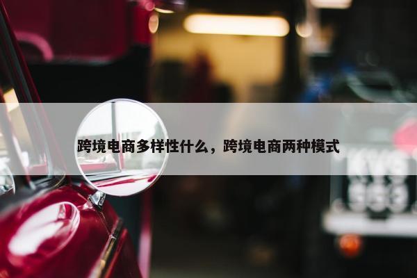 跨境电商多样性什么，跨境电商两种模式