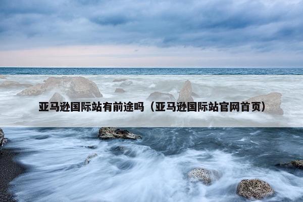 亚马逊国际站有前途吗（亚马逊国际站官网首页）