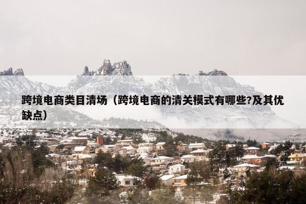 跨境电商类目清场（跨境电商的清关模式有哪些?及其优缺点）