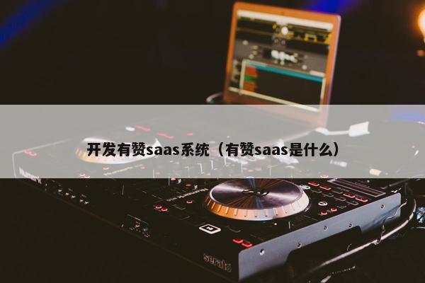 开发有赞saas系统（有赞saas是什么）