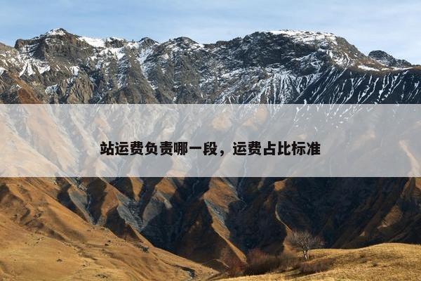站运费负责哪一段，运费占比标准