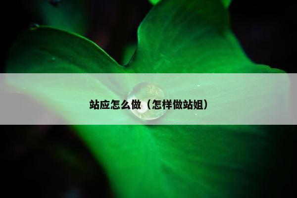 站应怎么做（怎样做站姐）