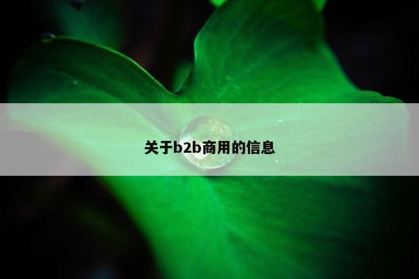 关于b2b商用的信息