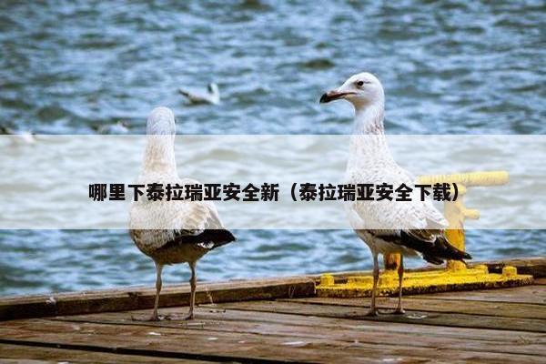 哪里下泰拉瑞亚安全新（泰拉瑞亚安全下载）