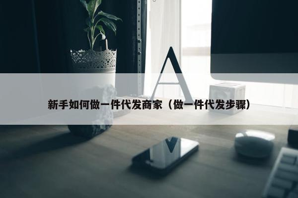 新手如何做一件代发商家（做一件代发步骤）
