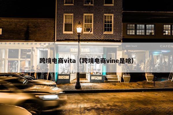 跨境电商vita（跨境电商vine是啥）
