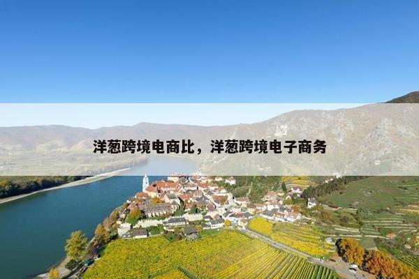 洋葱跨境电商比，洋葱跨境电子商务