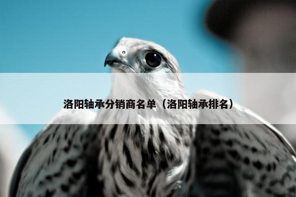 洛阳轴承分销商名单（洛阳轴承排名）